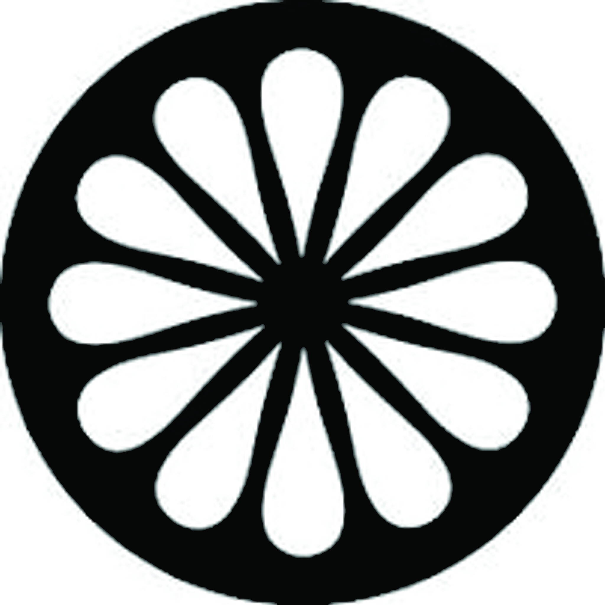 Binnenkort bij Padelshop Vibora verkrijgbaar; The Indian Maharadja