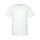 Men Cotton Tee White Shirt