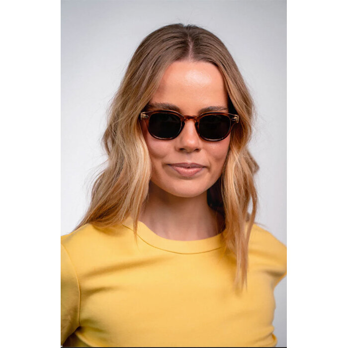 Parafina Montana Taupe Tortoise Sunglasses