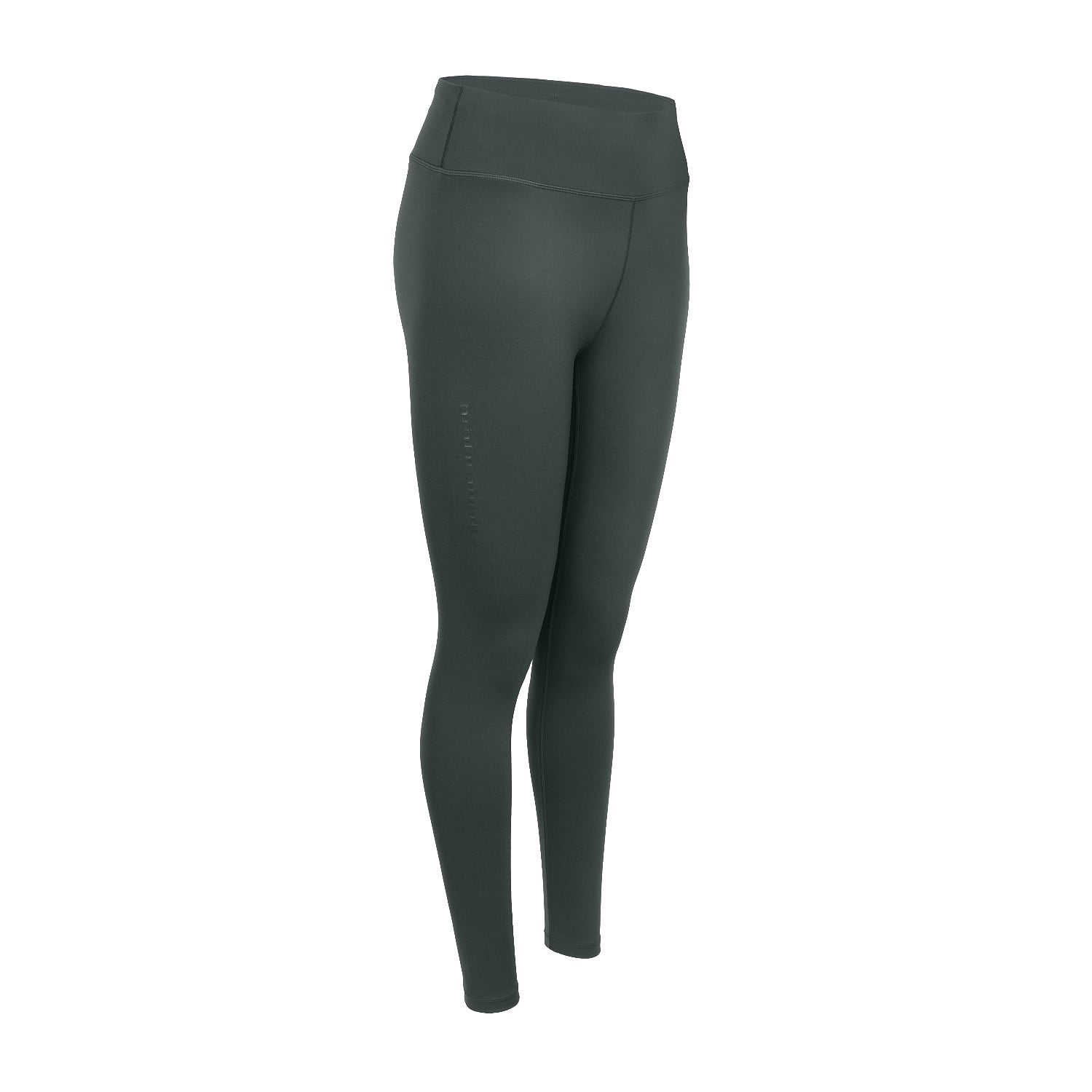 The Indian Maharadja Women Performance Tight Urban Grey