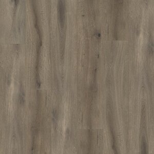 Gelasta Callisto 4105