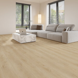 Gelasta Dynamic 2500