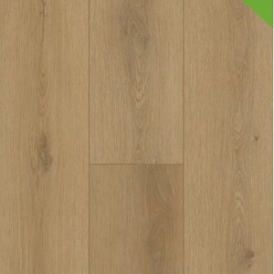 Gelasta Firmfit 6502