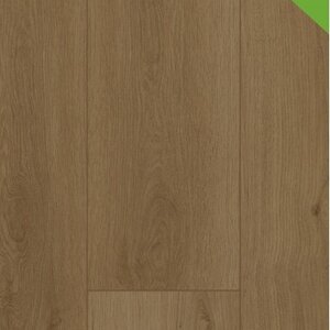 Gelasta Firmfit 6703