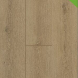 Gelasta Click - Firmfit 7501