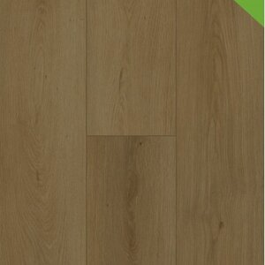 Gelasta Click - Firmfit 7702