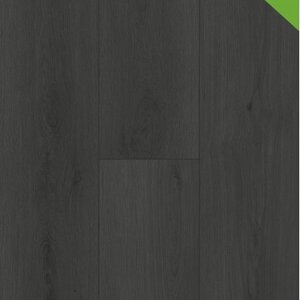 Gelasta Click - Firmfit 7701