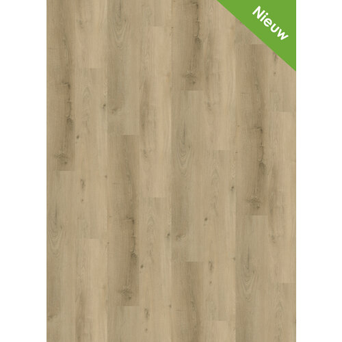 Gelasta Vario 5905 (rigid click)
