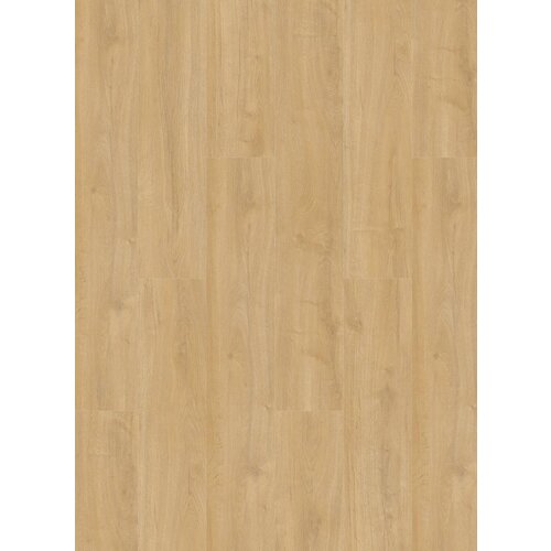 Gelasta Oakland 7102 (rigid click)