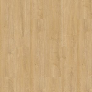 Gelasta Oakland 6102