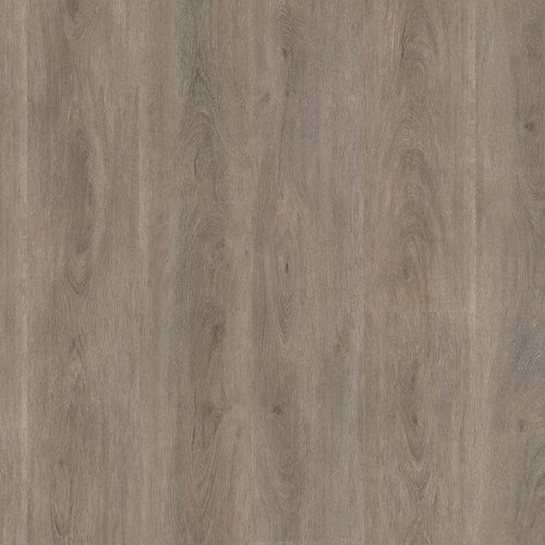Floorlife Parramatta dryback smoky
