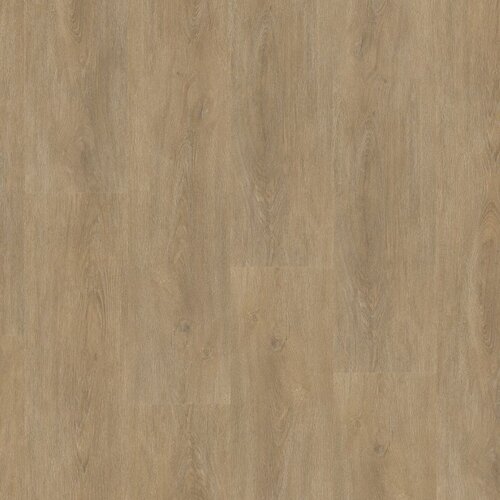 Floorlife Parramatta dryback natural oak
