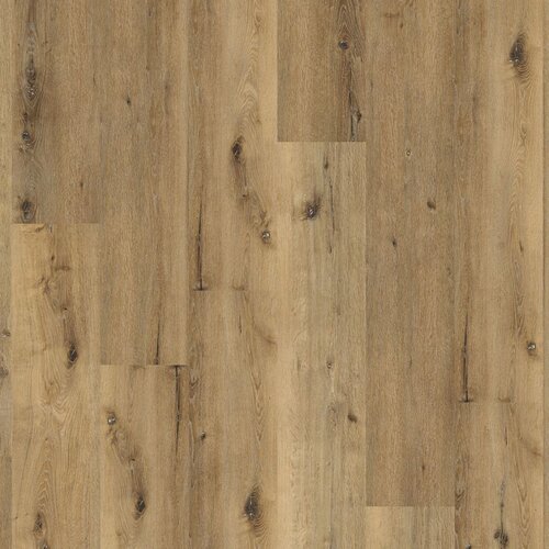 Floorlife Sydney harbour dryback dark oak