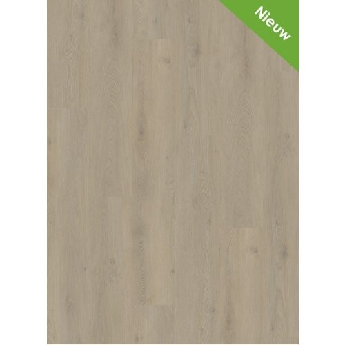 Gelasta Mystiq 1803 (dryback) Smoked Light