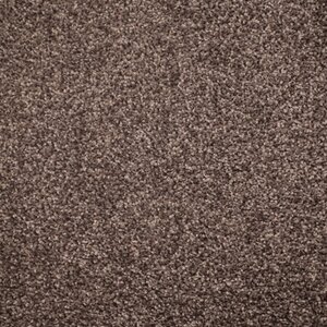 Gelasta Xtreme SDN 49 (130br)