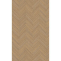 Futuro visgraat XL 50