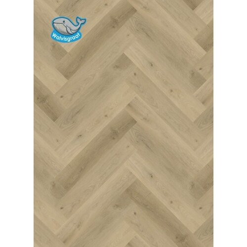 Gelasta Vario Walvisgraat 3905