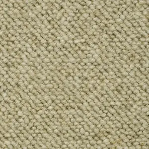 Castell Luxury Carpet Flooring Castell Roxburgh 88