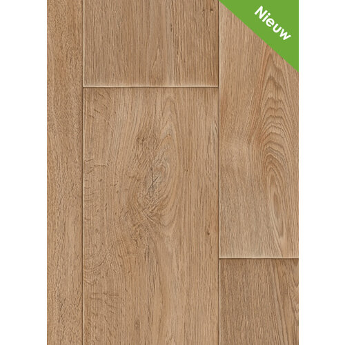 Gelasta Ravello 635 (400br) per 0.1m1