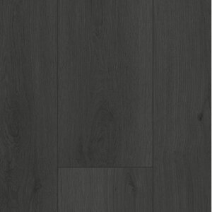 Gelasta Firmfit 6701