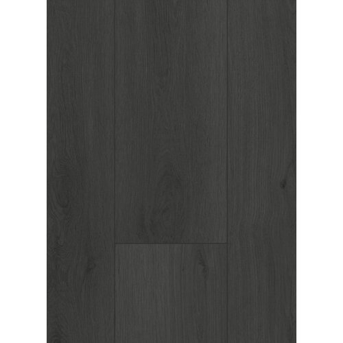 Gelasta Firmfit 6701 (dryback) Summerfield Charcoal