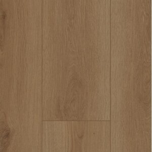 Gelasta Firmfit 6700