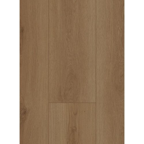 Gelasta Firmfit 6700 (dryback) Summerfield Naturel