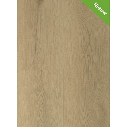 Gelasta Sierra 2003 (dryback) Natural