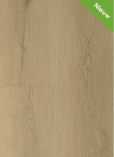 Gelasta Sierra 2003 (dryback) Natural Gelasta Sierra 2003 (dryback) Natural