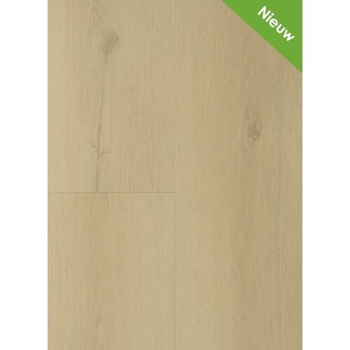 Gelasta Sierra 3001 (rigid click) Beige
