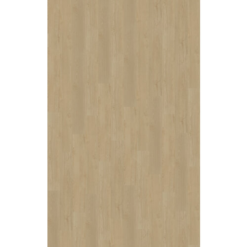 Belakos Portico 550