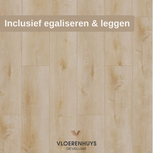 Gelasta Dynamic 2500