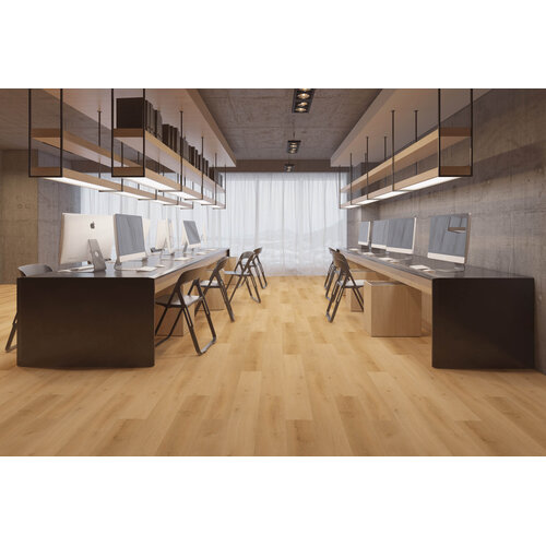 Gelasta Country 4300