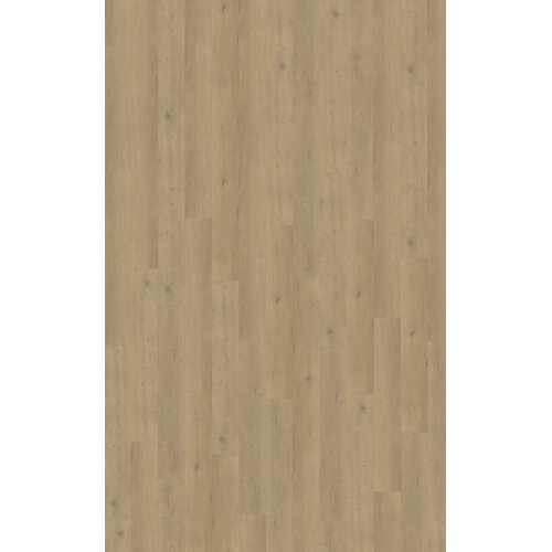 Belakos Attico 870