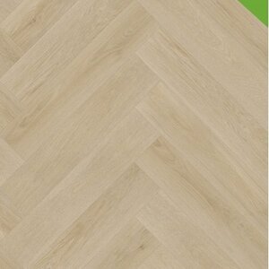 Gelasta Ravenna 616M