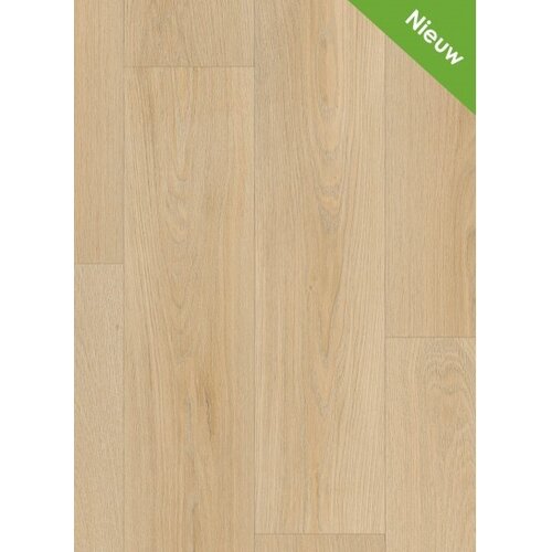 Gelasta Ravenna 136M (400br) per 0.1m1 Gelasta Ravenna 136M (400br) per 0.1m1