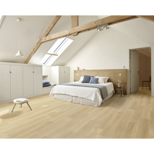 Gelasta Ravenna 136M (400br) per 0.1m1 Gelasta Ravenna 136M (400br) per 0.1m1