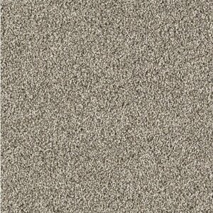 Gelasta Massiv SDN 38