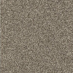 Gelasta Massiv SDN 42