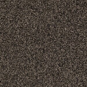 Gelasta Massiv SDN 48