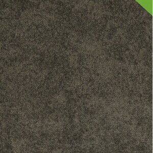 Gelasta Shadow 47 Nootmuskaat