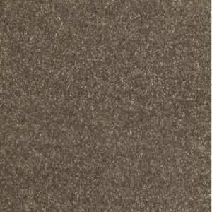 Gelasta Luxor 141 Chocolade