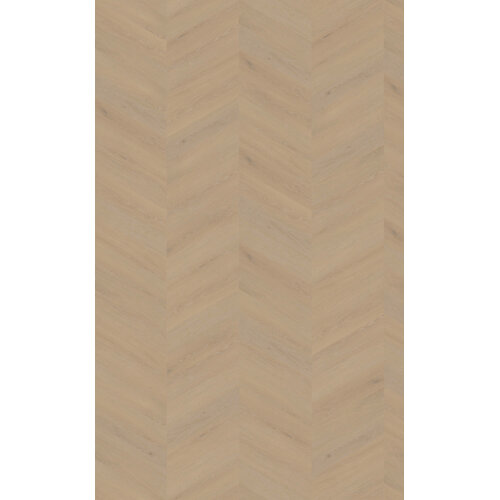 Belakos Cervo Hongaarse punt 20 Belakos Cervo Hongaarse punt 20