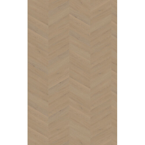 Belakos Cervo Hongaarse punt 21 Belakos Cervo Hongaarse punt 21