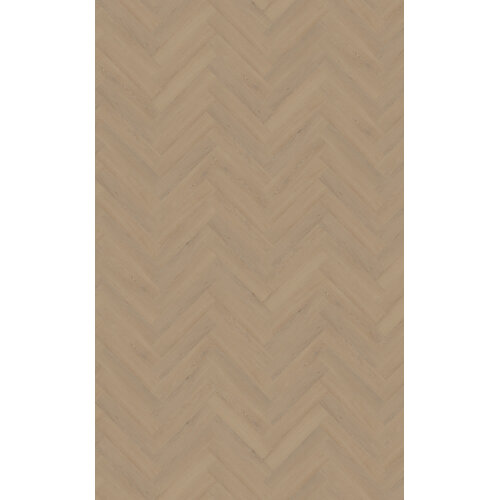 Belakos Cervo visgraat XL 21