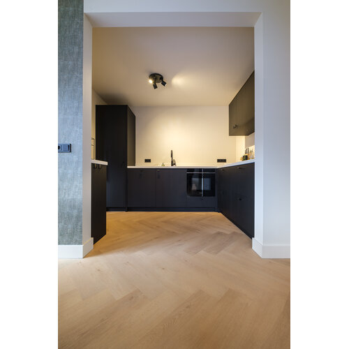 Belakos Palazzo visgraat XL 74