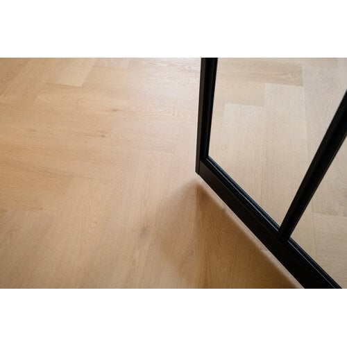 Belakos Palazzo visgraat XL 74