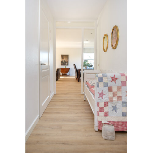 Belakos Palazzo 720 | Rigid Click