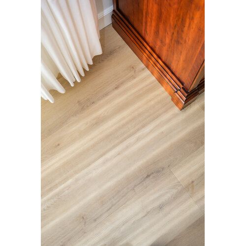 Belakos Palazzo 720 | Rigid Click