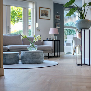 Belakos Palazzo visgraat XL 71